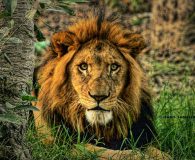 15073288_10154697517083904_1514835378337371829_n